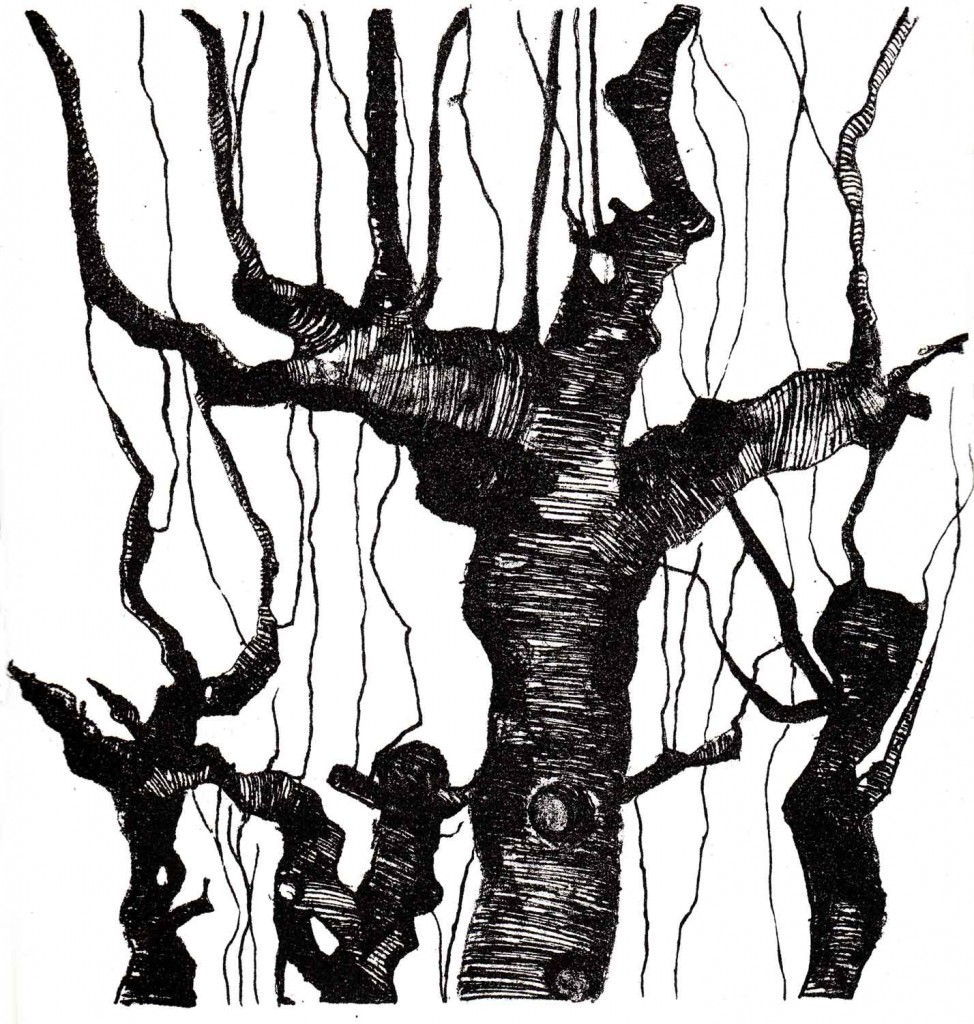 Série Arbre 3